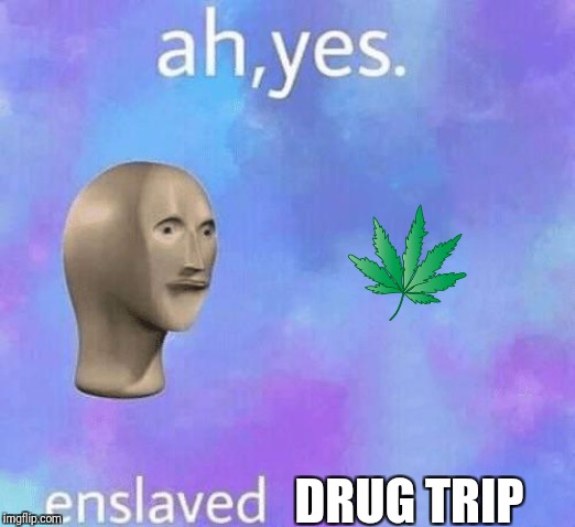 Ah Yes enslaved | DRUG TRIP | image tagged in ah yes enslaved | made w/ Imgflip meme maker