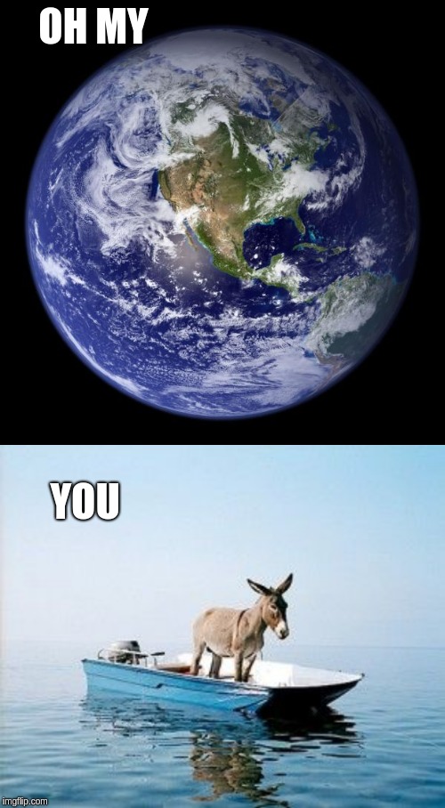 OH MY; YOU | image tagged in earth,donkey on a boat | made w/ Imgflip meme maker
