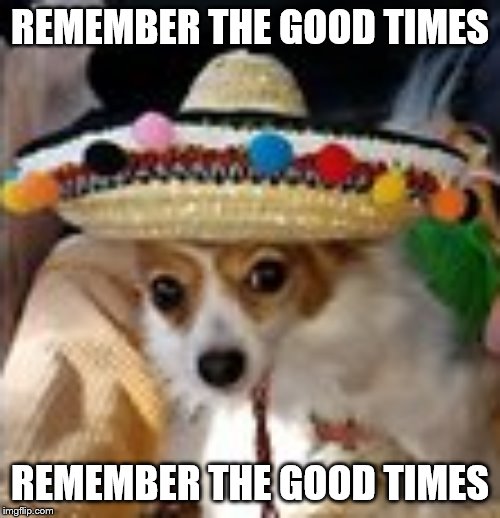 Remember the good times, remember the good times | REMEMBER THE GOOD TIMES; REMEMBER THE GOOD TIMES | image tagged in remember the good times remember the good times | made w/ Imgflip meme maker