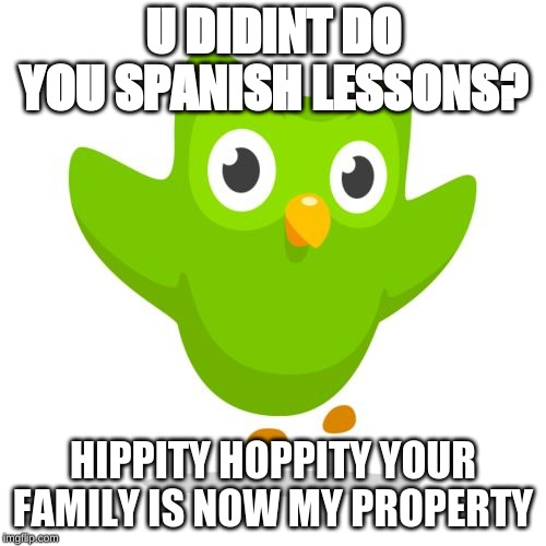 things duolingo teaches you | U DIDINT DO YOU SPANISH LESSONS? HIPPITY HOPPITY YOUR FAMILY IS NOW MY PROPERTY | image tagged in things duolingo teaches you | made w/ Imgflip meme maker