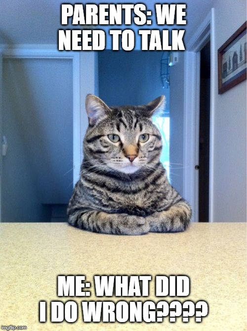 Take A Seat Cat Meme | PARENTS: WE NEED TO TALK; ME: WHAT DID I DO WRONG???? | image tagged in memes,take a seat cat | made w/ Imgflip meme maker