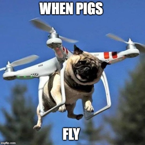 Flying Pug | WHEN PIGS; FLY | image tagged in flying pug | made w/ Imgflip meme maker