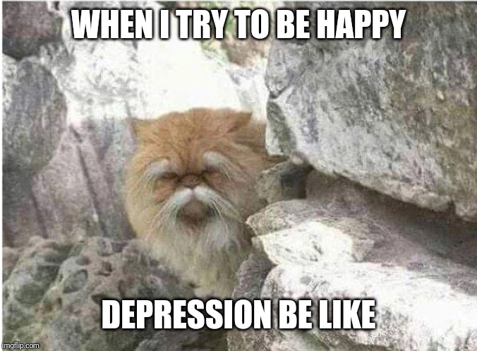 Kung fu cat | WHEN I TRY TO BE HAPPY DEPRESSION BE LIKE | image tagged in kung fu cat | made w/ Imgflip meme maker