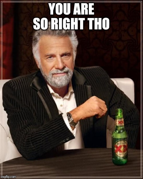 The Most Interesting Man In The World Meme | YOU ARE SO RIGHT THO | image tagged in memes,the most interesting man in the world | made w/ Imgflip meme maker