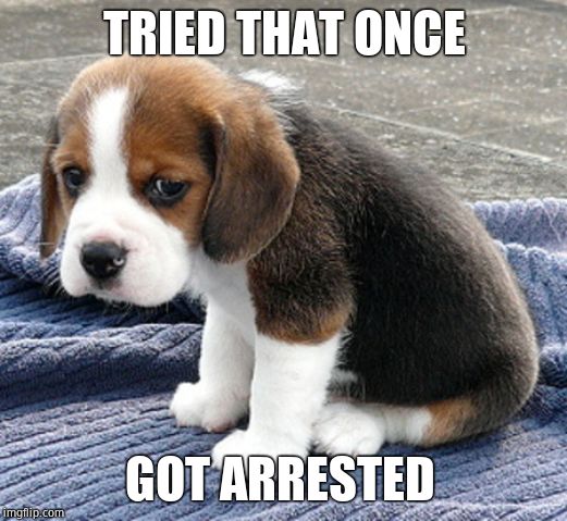 sad dog | TRIED THAT ONCE GOT ARRESTED | image tagged in sad dog | made w/ Imgflip meme maker