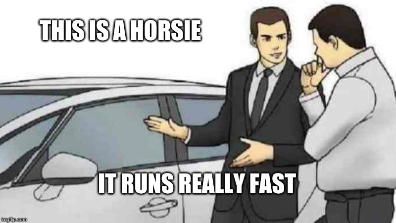 Car Salesman Slaps Roof Of Car | THIS IS A HORSIE; IT RUNS REALLY FAST | image tagged in memes,car salesman slaps roof of car | made w/ Imgflip meme maker
