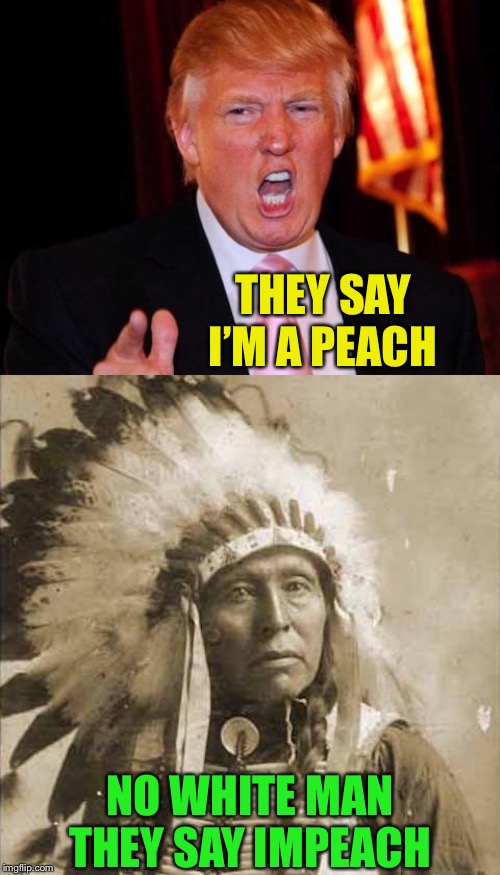 Donald Trump and Native American | THEY SAY I’M A PEACH NO WHITE MAN THEY SAY IMPEACH | image tagged in donald trump and native american | made w/ Imgflip meme maker