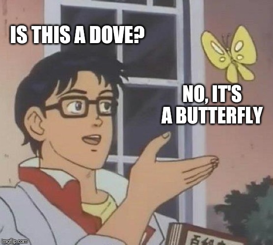 Is This A Pigeon Meme | IS THIS A DOVE? NO, IT'S A BUTTERFLY | image tagged in memes,is this a pigeon,Hunting | made w/ Imgflip meme maker