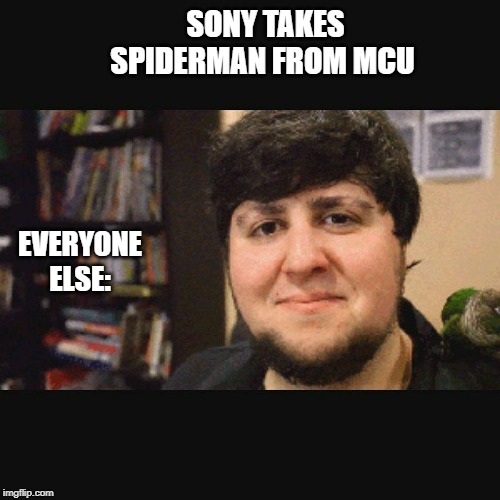 JonTron Srsly | SONY TAKES SPIDERMAN FROM MCU; EVERYONE ELSE: | image tagged in jontron srsly | made w/ Imgflip meme maker