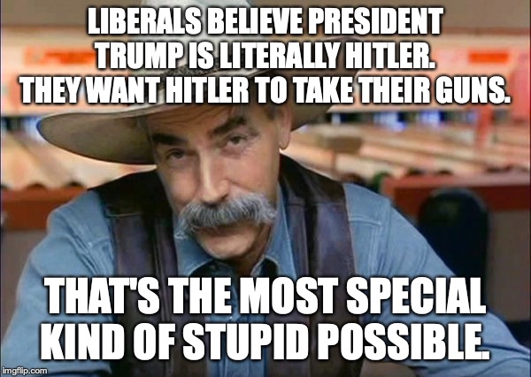 Liberal stupidity at its pinnacle. | LIBERALS BELIEVE PRESIDENT TRUMP IS LITERALLY HITLER. THEY WANT HITLER TO TAKE THEIR GUNS. THAT'S THE MOST SPECIAL KIND OF STUPID POSSIBLE. | image tagged in 2019,gun control,chicago,liberals,idiots,morons | made w/ Imgflip meme maker