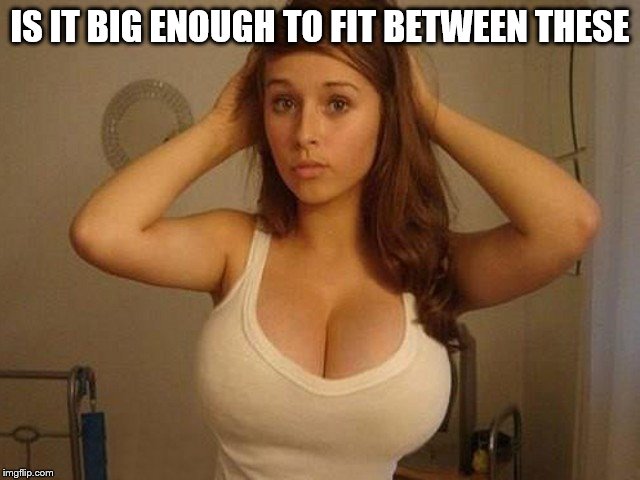 IS IT BIG ENOUGH TO FIT BETWEEN THESE | image tagged in headache | made w/ Imgflip meme maker