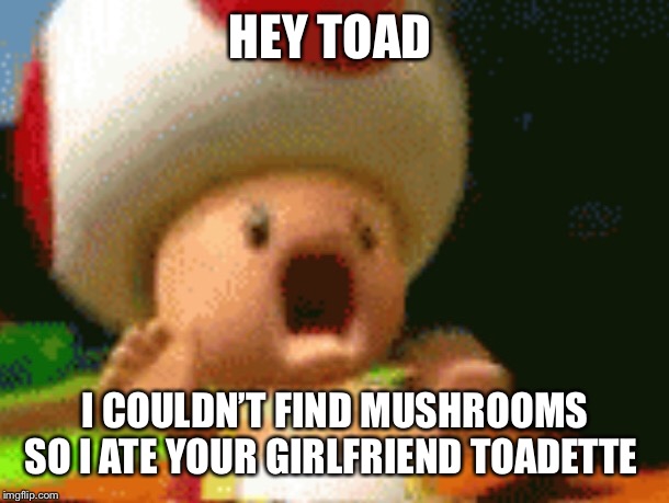HEY TOAD; I COULDN’T FIND MUSHROOMS SO I ATE YOUR GIRLFRIEND TOADETTE | image tagged in toad,memes | made w/ Imgflip meme maker