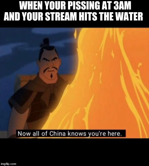 Now all of China knows you're here | WHEN YOUR PISSING AT 3AM AND YOUR STREAM HITS THE WATER | image tagged in now all of china knows you're here | made w/ Imgflip meme maker