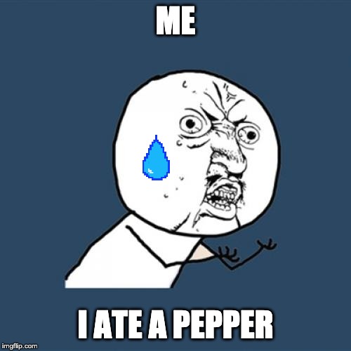 Y U No | ME; I ATE A PEPPER | image tagged in memes,y u no | made w/ Imgflip meme maker
