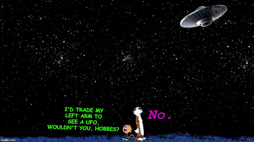 How Deep Are Things? | No. I'D TRADE MY LEFT ARM TO SEE A UFO, WOULDN'T YOU, HOBBES? | image tagged in how deep are things | made w/ Imgflip meme maker