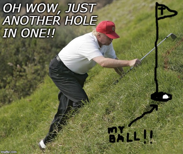 OH WOW, JUST
ANOTHER HOLE
IN ONE!! | image tagged in trump,maga,golf | made w/ Imgflip meme maker