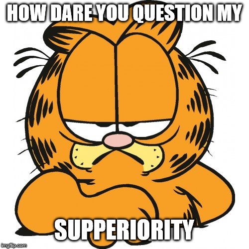Garfield | HOW DARE YOU QUESTION MY SUPPERIORITY | image tagged in garfield | made w/ Imgflip meme maker