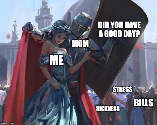 DID YOU HAVE A GOOD DAY? MOM; ME; STRESS; BILLS; SICKNESS | image tagged in yeet | made w/ Imgflip meme maker