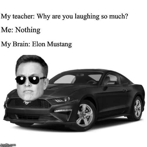 Thought of this lol | My teacher: Why are you laughing so much? Me: Nothing; My Brain: Elon Mustang | image tagged in funny memes,elon musk,funny | made w/ Imgflip meme maker