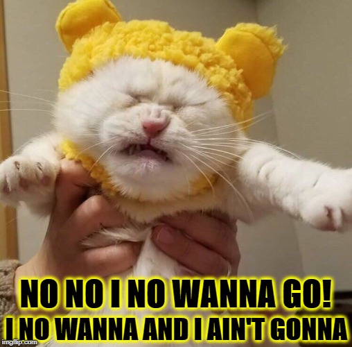 I NO WANNA | NO NO I NO WANNA GO! I NO WANNA AND I AIN'T GONNA | image tagged in i no wanna | made w/ Imgflip meme maker