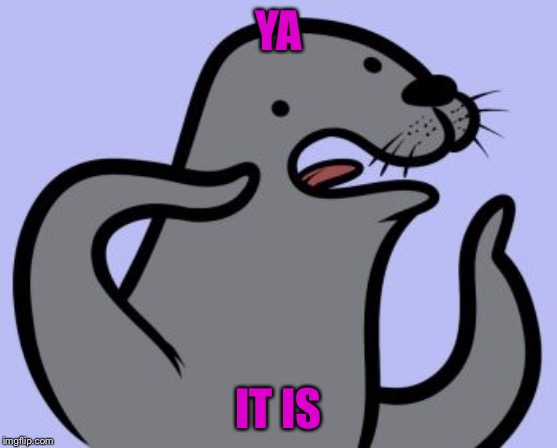 Homophobic Seal Meme | YA IT IS | image tagged in memes,homophobic seal | made w/ Imgflip meme maker