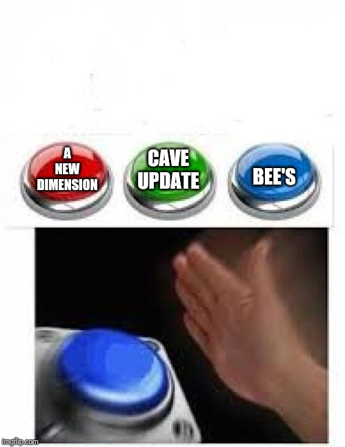 Red Green Blue Buttons | A NEW DIMENSION; BEE'S; CAVE UPDATE | image tagged in red green blue buttons | made w/ Imgflip meme maker