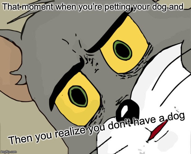 Then what’s petting you back?? | That moment when you’re petting your dog and; Then you realize you don’t have a dog | image tagged in memes,unsettled tom,dogs,funny,lol so funny,lol | made w/ Imgflip meme maker
