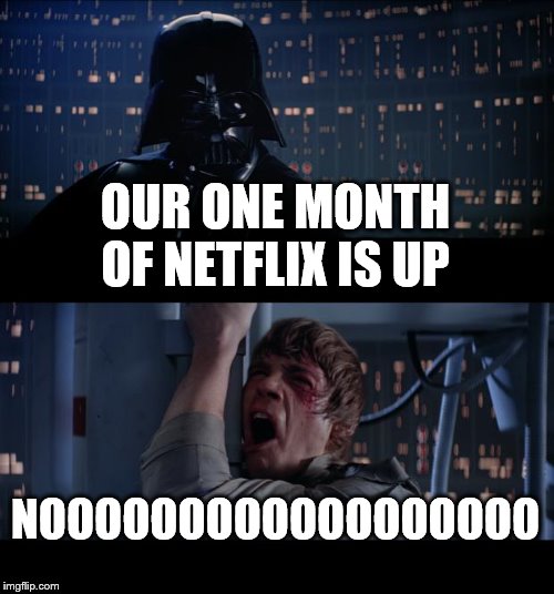 Star Wars No Meme | OUR ONE MONTH OF NETFLIX IS UP; NOOOOOOOOOOOOOOOOOO | image tagged in memes,star wars no | made w/ Imgflip meme maker