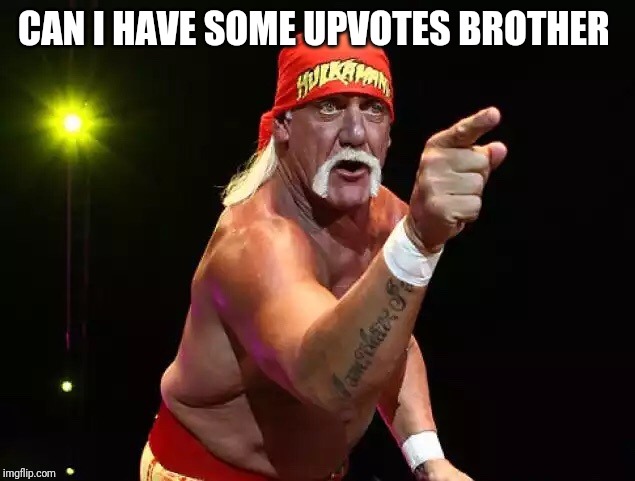 Praying Hulk Hogan  | CAN I HAVE SOME UPVOTES BROTHER | image tagged in praying hulk hogan | made w/ Imgflip meme maker