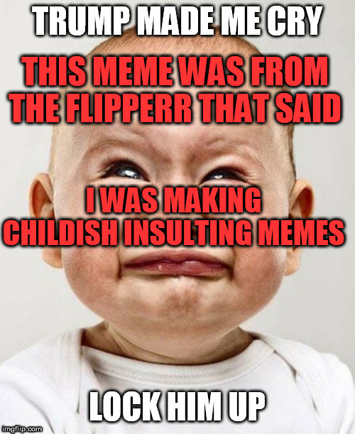 THIS MEME WAS FROM THE FLIPPERR THAT SAID; I WAS MAKING CHILDISH INSULTING MEMES | made w/ Imgflip meme maker