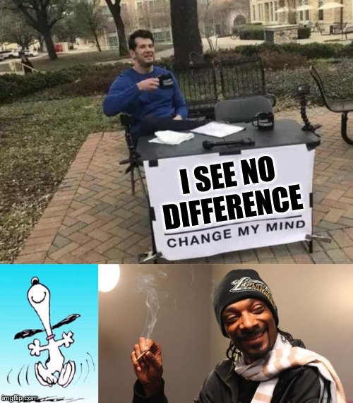 Did this on my Xbox,it's very hard | I SEE NO DIFFERENCE | image tagged in snoop dogg,snoopy dance,memes,change my mind | made w/ Imgflip meme maker