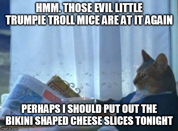 trumpie troll mice and bikini shaped cheese | HMM. THOSE EVIL LITTLE TRUMPIE TROLL MICE ARE AT IT AGAIN; PERHAPS I SHOULD PUT OUT THE BIKINI SHAPED CHEESE SLICES TONIGHT | image tagged in memes,i should buy a boat cat,trump cult,trump for prison,impeach 2020,trump | made w/ Imgflip meme maker