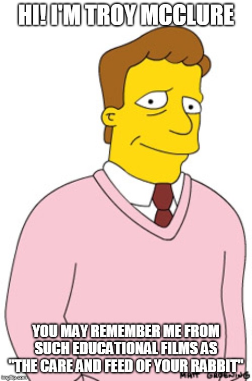 Troy McClure | HI! I'M TROY MCCLURE; YOU MAY REMEMBER ME FROM SUCH EDUCATIONAL FILMS AS "THE CARE AND FEED OF YOUR RABBIT" | image tagged in troy mcclure | made w/ Imgflip meme maker