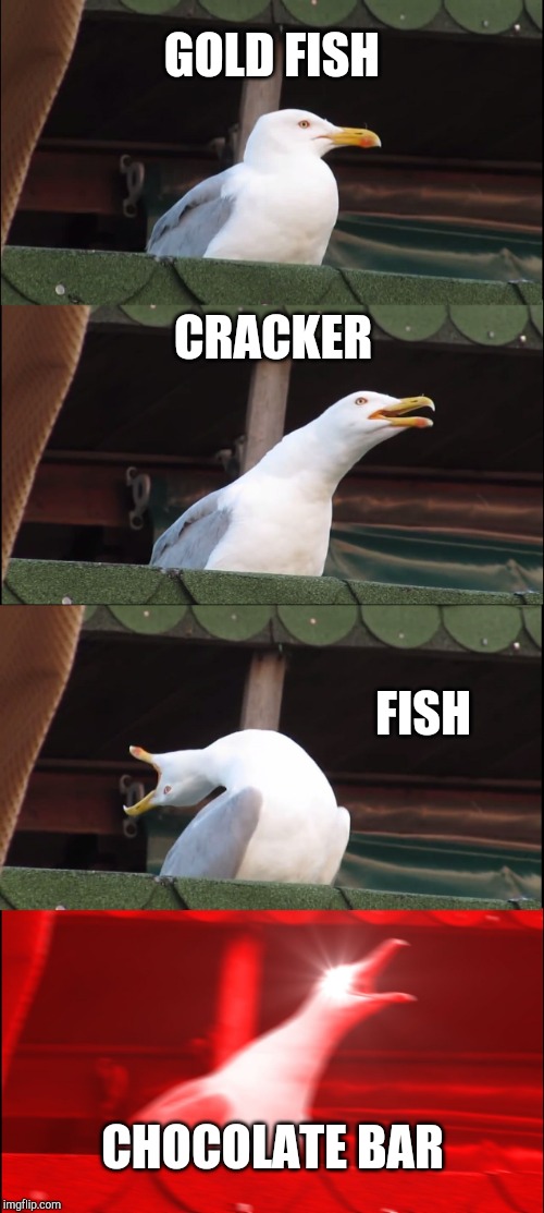 Inhaling Seagull | GOLD FISH; CRACKER; FISH; CHOCOLATE BAR | image tagged in memes,inhaling seagull | made w/ Imgflip meme maker