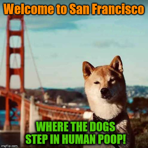 Remember to pull up the poop map before you walk. | Welcome to San Francisco WHERE THE DOGS
STEP IN HUMAN POOP! | image tagged in political meme | made w/ Imgflip meme maker