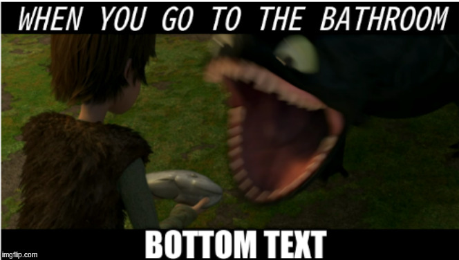 When you go to the bathroom | image tagged in bathroom,how to train your dragon,toothless | made w/ Imgflip meme maker