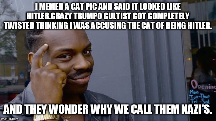 Roll Safe Think About It | I MEMED A CAT PIC AND SAID IT LOOKED LIKE HITLER.CRAZY TRUMPO CULTIST GOT COMPLETELY TWISTED THINKING I WAS ACCUSING THE CAT OF BEING HITLER. AND THEY WONDER WHY WE CALL THEM NAZI'S. | image tagged in memes,roll safe think about it | made w/ Imgflip meme maker