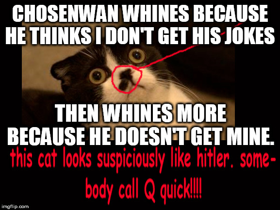 CHOSENWAN WHINES BECAUSE HE THINKS I DON'T GET HIS JOKES; THEN WHINES MORE BECAUSE HE DOESN'T GET MINE. | made w/ Imgflip meme maker