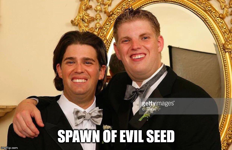SPAWN OF EVIL SEED | image tagged in donald trump | made w/ Imgflip meme maker
