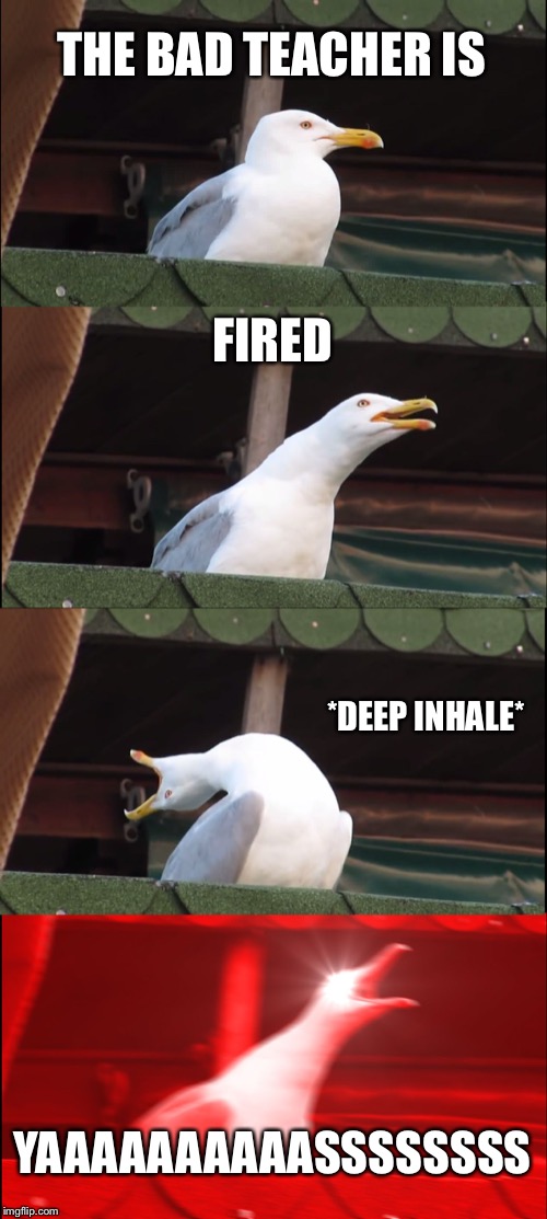 Inhaling Seagull Meme | THE BAD TEACHER IS; FIRED; *DEEP INHALE*; YAAAAAAAAAASSSSSSSS | image tagged in memes,inhaling seagull | made w/ Imgflip meme maker