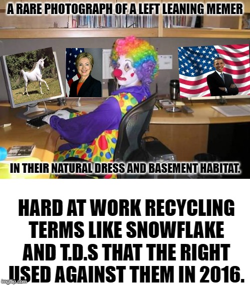 IF THE LEFT CAN MEME,THEN WHY DO THEY NEED TO RECYCLE THE SAME TERMS THE RIGHT USED AGAINST THEM.MAYBE THEYRE PROJECTING AGAIN ? | A RARE PHOTOGRAPH OF A LEFT LEANING MEMER; IN THEIR NATURAL DRESS AND BASEMENT HABITAT. HARD AT WORK RECYCLING TERMS LIKE SNOWFLAKE AND T.D.S THAT THE RIGHT USED AGAINST THEM IN 2016. | image tagged in blank white template,clown computer,the left cant meme,try being original | made w/ Imgflip meme maker