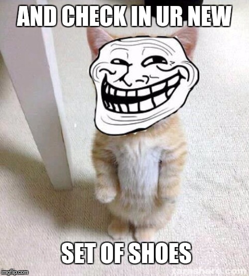 Troll Cat | AND CHECK IN UR NEW SET OF SHOES | image tagged in troll cat | made w/ Imgflip meme maker