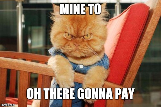 mad cat | MINE TO OH THERE GONNA PAY | image tagged in mad cat | made w/ Imgflip meme maker