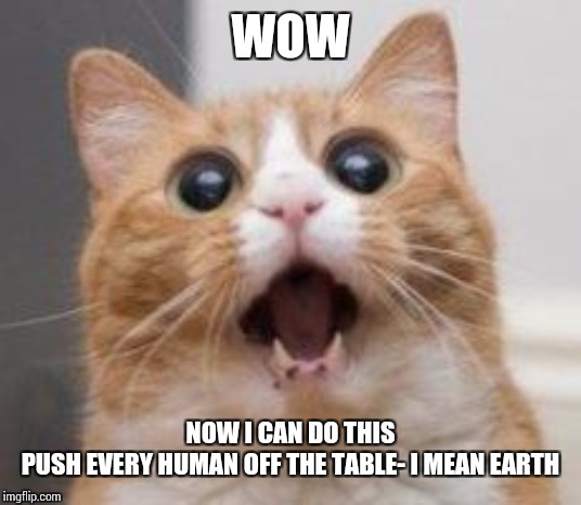 Wow | WOW NOW I CAN DO THIS

PUSH EVERY HUMAN OFF THE TABLE- I MEAN EARTH | image tagged in wow | made w/ Imgflip meme maker
