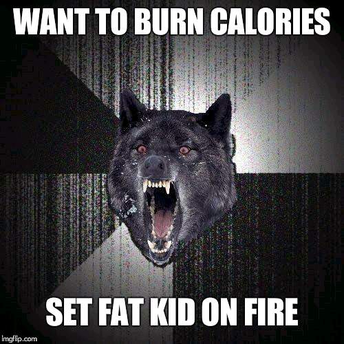Insanity Wolf Meme | WANT TO BURN CALORIES; SET FAT KID ON FIRE | image tagged in memes,insanity wolf | made w/ Imgflip meme maker