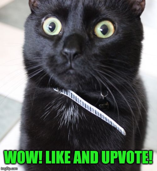 Woah Kitty Meme | WOW! LIKE AND UPVOTE! | image tagged in memes,woah kitty | made w/ Imgflip meme maker