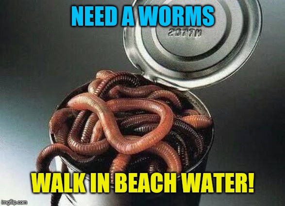 Can of Worms | NEED A WORMS WALK IN BEACH WATER! | image tagged in can of worms | made w/ Imgflip meme maker