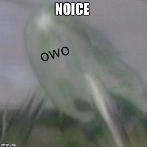 owo waterwraith | NOICE | image tagged in owo waterwraith | made w/ Imgflip meme maker
