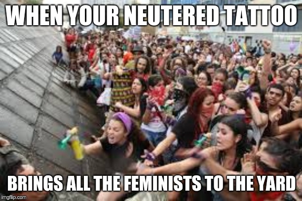 feminist rally | WHEN YOUR NEUTERED TATTOO BRINGS ALL THE FEMINISTS TO THE YARD | image tagged in feminist rally | made w/ Imgflip meme maker