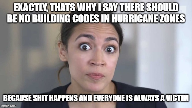 Crazy Alexandria Ocasio-Cortez | EXACTLY, THATS WHY I SAY THERE SHOULD BE NO BUILDING CODES IN HURRICANE ZONES BECAUSE SHIT HAPPENS AND EVERYONE IS ALWAYS A VICTIM | image tagged in crazy alexandria ocasio-cortez | made w/ Imgflip meme maker